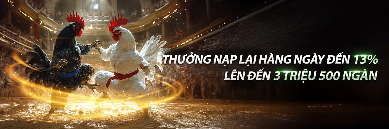 Sân vận động sôi động, biểu tượng của chiến lược cá cược thể thao pk88vn chính thức